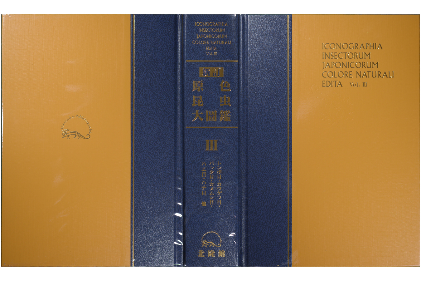 新訂 原色昆虫大圖鑑　第Ⅲ巻拡大図